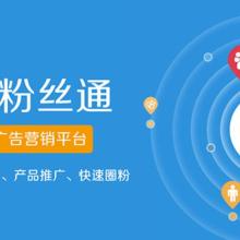 上?；鹚倬W(wǎng)絡科技股份 數(shù)據(jù)科技領域的技術服務先鋒