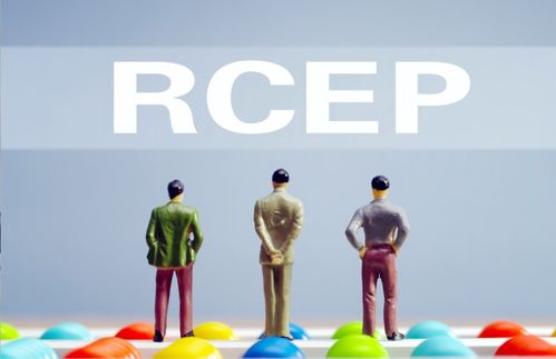 五大舉措助力企業搭乘RCEP快車 商務部強化信息咨詢服務